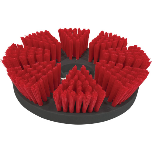 Medium-Duty Cleaning Brush Absolute Business Supply
