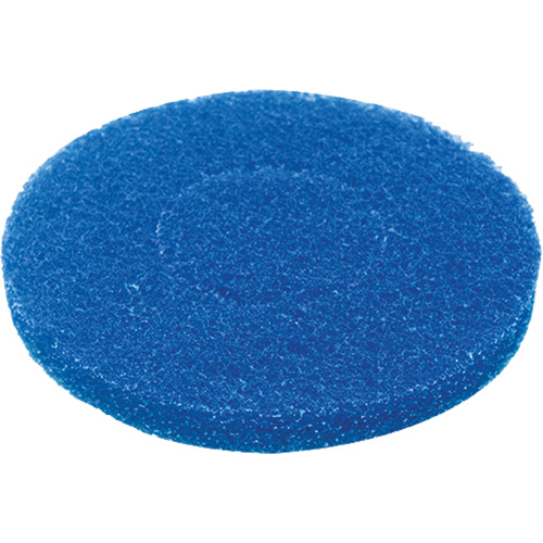 Tampon pour plancher, Nettoyage, Bleu Absolute Business Supply