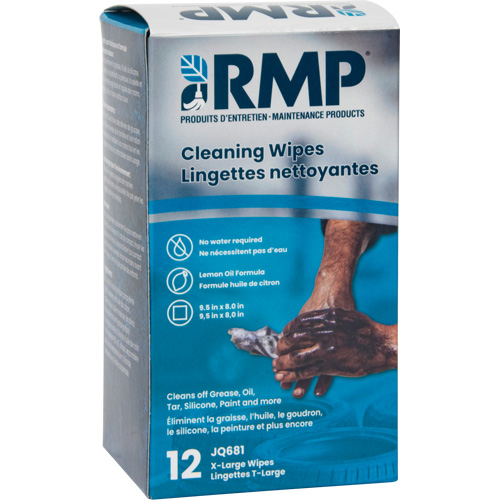 Lingettes nettoyantes emball&eacute;es individuellement, 12 lingettes, 8" x 9-1/2" Absolute Business Supply