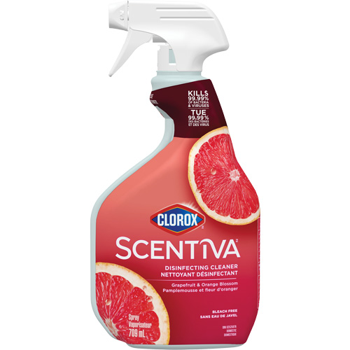 Vaporisateur nettoyant d&eacute;sinfectant multi-surfaces, 709 ml, Bouteille &agrave; g&acirc;chette Absolute Business Supply