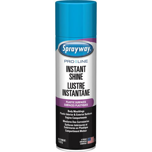 Pro Line Instant Shine for Plastic Surfaces, 11 oz., Aerosol Can Absolute Business Supply