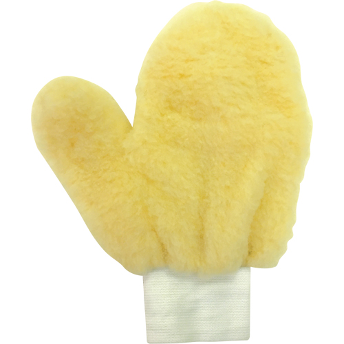 Paint Mitt Absolute Business Supply