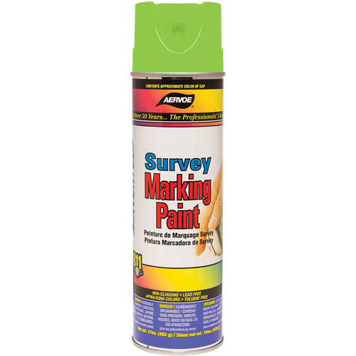 All-Purpose Marking Paint, 17 oz., Aerosol Can Absolute Business Supply