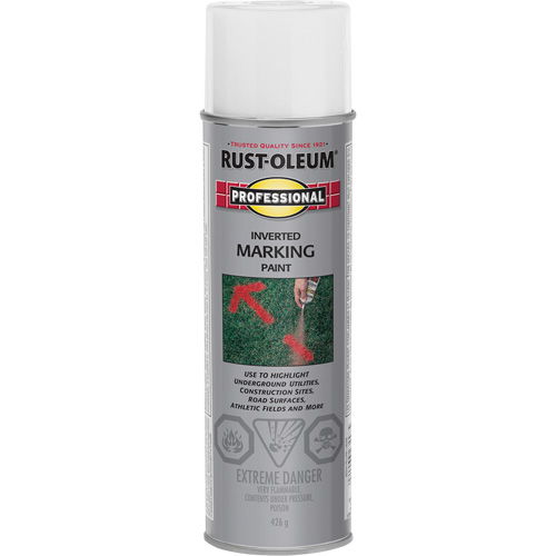 Inverted Marking Paint Spray, 426 g, Aerosol Can Absolute Business Supply