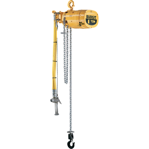 Budgit&reg; Series 6000 Air Hoists Absolute Business Supply