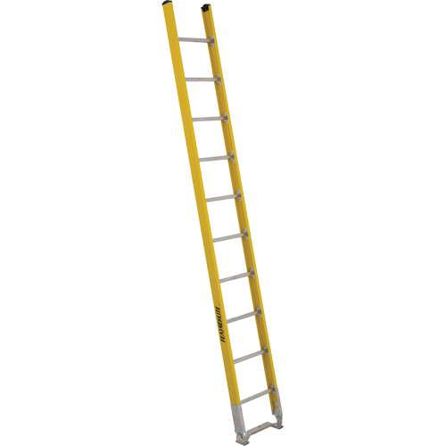 &eacute;chelle simple &agrave; une section - S&eacute;rie 6100, 10', Fibre de verre, 375 lb, CSA calibre 1AA Absolute Business Supply