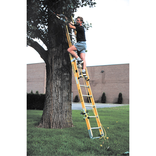 Industrial Heavy-Duty Extension Ladders (6200 Series), 375 lbs. Cap., 13' H, Grade 1AA Absolute Business Supply