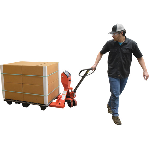 Transpalette, 48" lo x 27,5" la, Capacit&eacute; de 5000 lb Absolute Business Supply