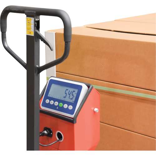 Transpalette, 48" lo x 27,5" la, Capacit&eacute; de 5000 lb Absolute Business Supply