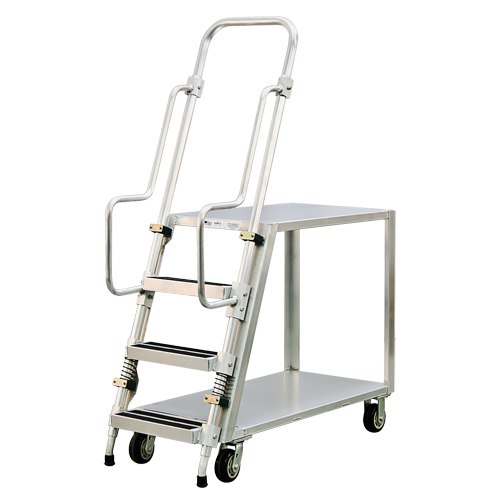Chariot de pr&eacute;paration en aluminium avec &eacute;chelle, Aluminium, 22" la x 51-1/2" p, 2 tablettes, Capacit&eacute; 800 lb Absolute Business Supply