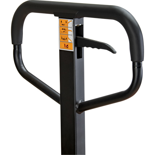 Manual Pallet Truck, Steel, 48" L x 21" W, 5500 lbs. Capacity Absolute Business Supply