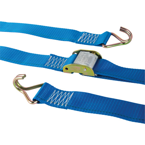 Tendeur d'arrimage logistique, Boucle &agrave; came, 2" la x 20' lo, Charge d'utilisation 500 lb (227 kg) Absolute Business Supply