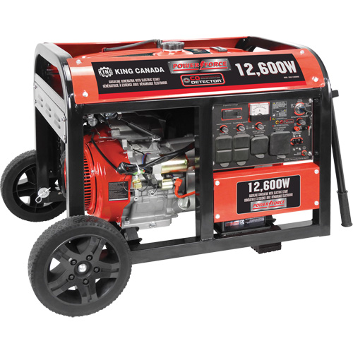 Gasoline Generator with Electric Start, 12600 W Surge, 9000 W Rated, 120 V/240 V, 31 L Tank Absolute Business Supply