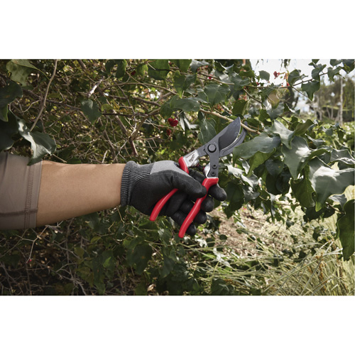 1” Angled Pruning Shears Absolute Business Supply