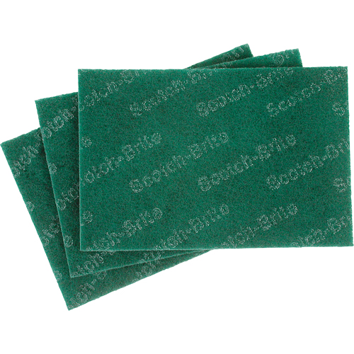 Tampons manuels Scotch-Brite, 9" lo x 6" la Absolute Business Supply