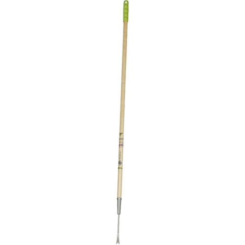 Dandelion Weeder Absolute Business Supply