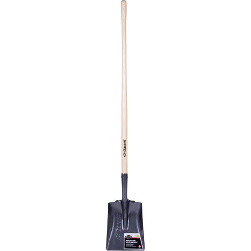 Pro Square Point Shovel, Wood, Tempered Steel Blade, Straight Handle, 48" Long Absolute Business Supply