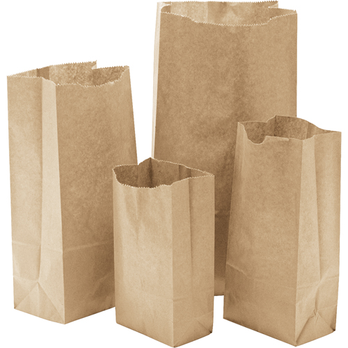 Paper Bags, Paper, 3-1/2" W x 6-3/4" L Absolute Business Supply