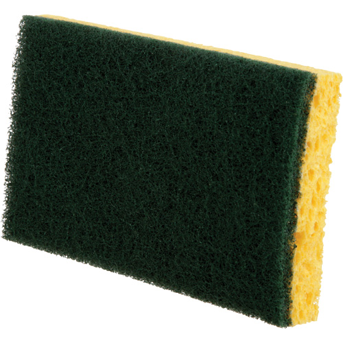 Utility Sponges, Cellulose, 6" W x 3-1/2" L Absolute Business Supply