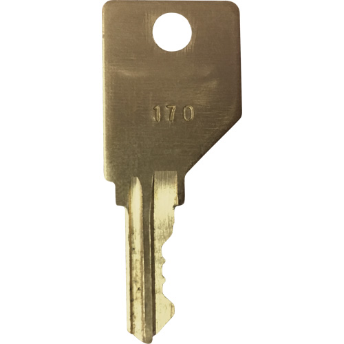 Replacement Key for Frost Smoking Receptacles Absolute Business Supply