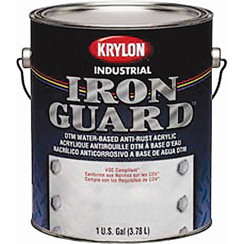 &eacute;mail industriel &agrave; base d'eau Iron Guard, Canette, Gris Absolute Business Supply