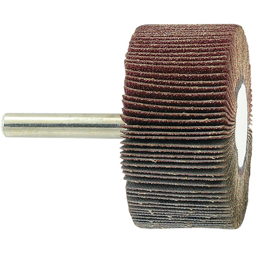 Disque &agrave; lamelles mont&eacute; sur mandrin, Grain 80, 2" x 1" x 1/4" Absolute Business Supply