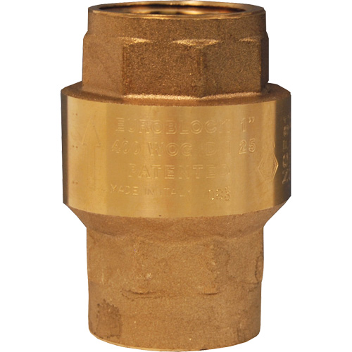 Spring-Loaded Check Valve Absolute Business Supply