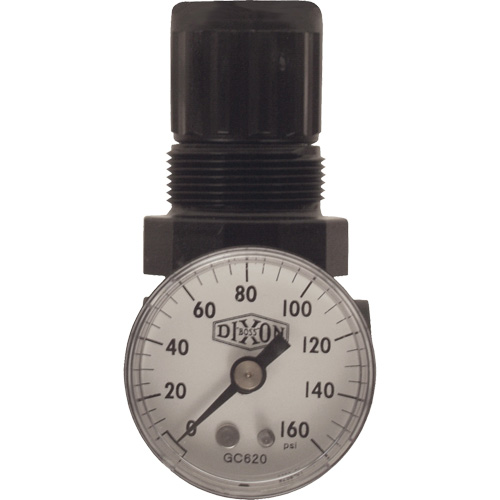 Series 1 Miniature Regulator, 1/8" NPT, 100 psi Max. PSI, Standard Absolute Business Supply
