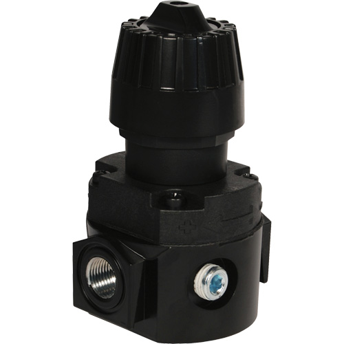 R&eacute;gulateur compact R16 Wilkerson, 1/4" NPT, PSI max. de 300 psi, Standard Absolute Business Supply