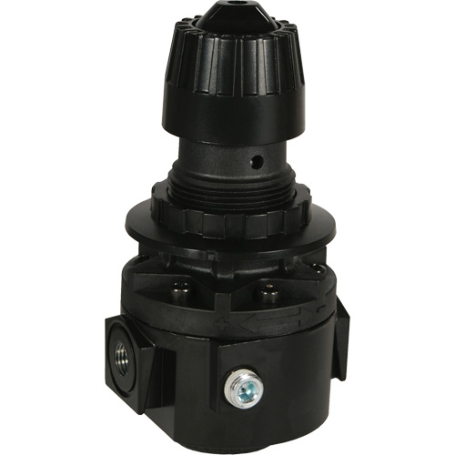 R&eacute;gulateur Wilkerson R26, 3/8" NPT, PSI max. de 300 psi, Standard Absolute Business Supply