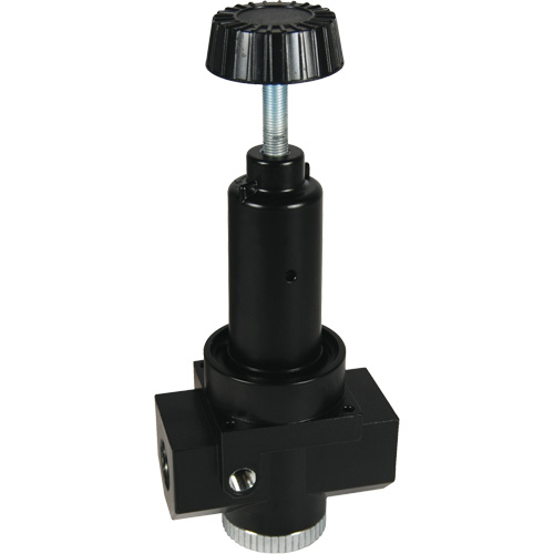 Wilkerson High Flow Regulator R30, 1" NPT, 300 psi Max. PSI, Standard Absolute Business Supply