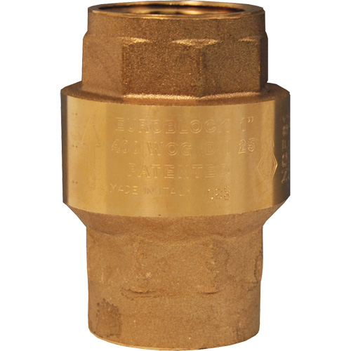 Horizontal Swing Check Valve Absolute Business Supply