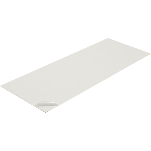 Clean Room Mat Absolute Business Supply