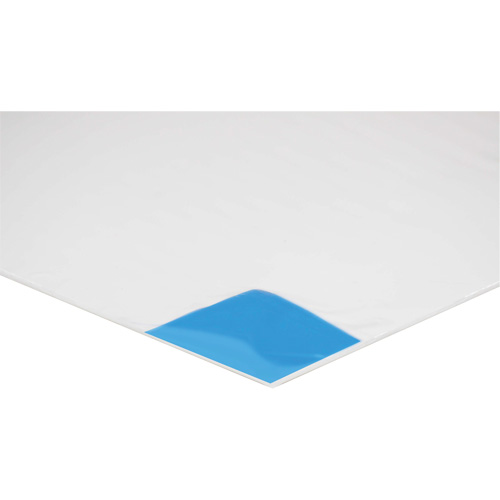 Clean Room Mat Absolute Business Supply