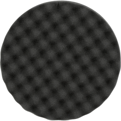 Polishing Pad, 8" dia., Foam Absolute Business Supply