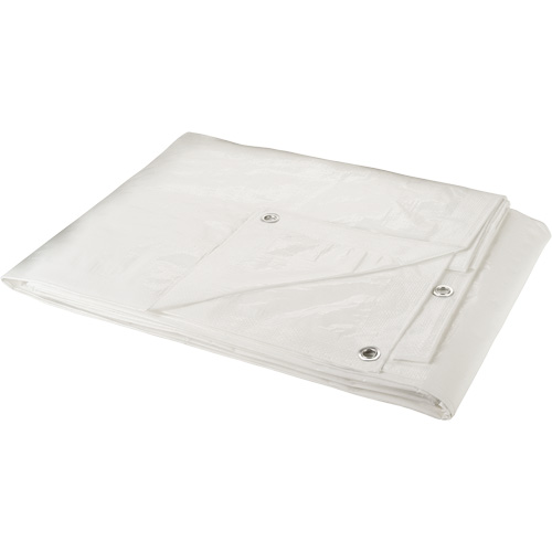 Tarp, Heavy-Duty, White, 8' x 6' x 6 mils Absolute Business Supply