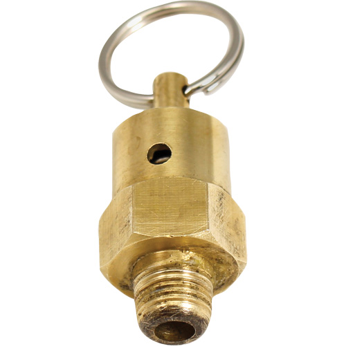 Soupape de rel&acirc;chement de pression Viton Absolute Business Supply