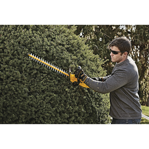 Taille-haie MAX*, 22", 20 V, &agrave; pile Absolute Business Supply