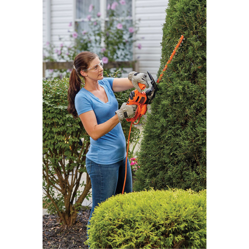 Taille-haie, 16", &eacute;lectrique Absolute Business Supply