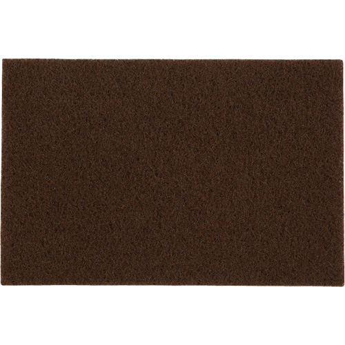 Tampons manuels Bear-Tex, Oxyde d'aluminium, 6" x 9", Grain Moyen Absolute Business Supply