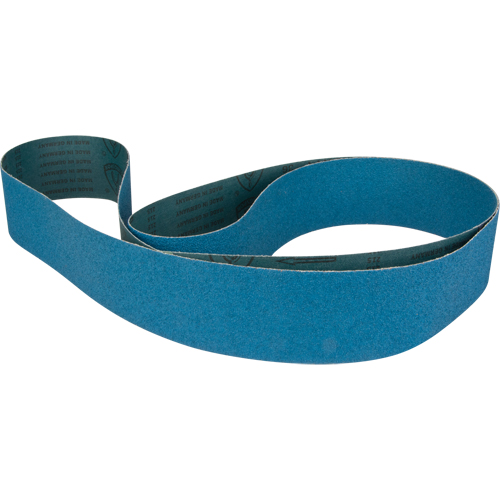 Courroie abrasive bleu Absolute Business Supply