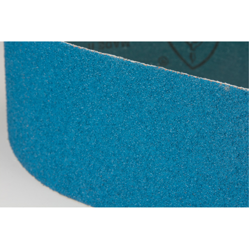 Courroie abrasive bleu Absolute Business Supply