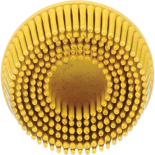 Scotch-Brite Roloc Bristle Disc, Ceramic, Medium Grit, 2" Dia. Absolute Business Supply