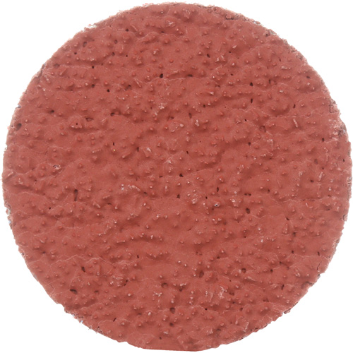 Cubitron II Roloc Durable Edge Disc, 2" Dia., 36+ Grit, Ceramic Absolute Business Supply