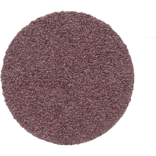 Disque de conditionnement de surface, 1" dia., Grain P100, Oxyde d'aluminium Absolute Business Supply