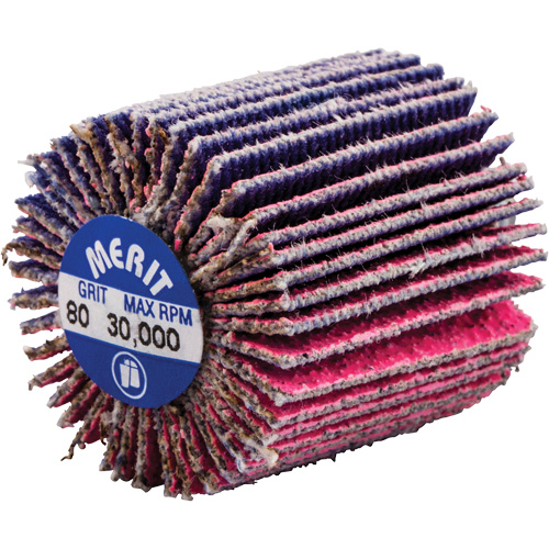 Mini-meule &agrave; lamelles filet&eacute;es, C&eacute;ramique d'alumine, Grain 80, 1" x 1" x 1/4"-20 Absolute Business Supply