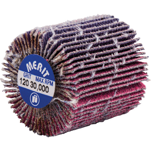 Mini-meule &agrave; lamelles filet&eacute;es, C&eacute;ramique d'alumine, Grain 120, 1" x 1" x 1/4"-20 Absolute Business Supply