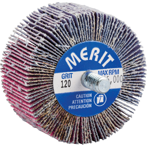 Threaded Mini Flap Wheel, Ceramic Alumina, 120 Grit, 2" x 1" x 1/4"-20 Absolute Business Supply