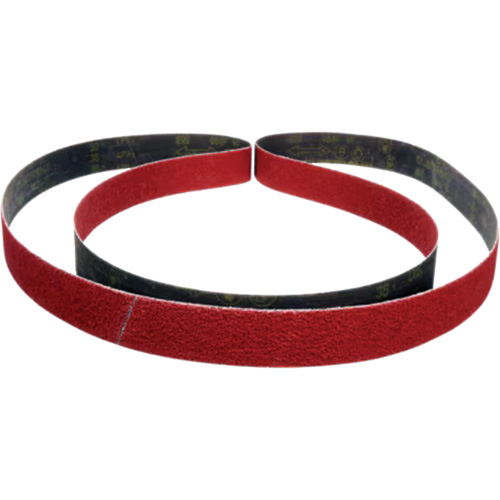 Cubitron II Abrasive Belt 984F, 2" W x 15-5/8" L, Ceramic, 36+ Grit Absolute Business Supply