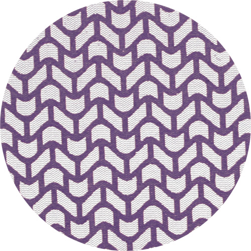 Disque en filet Xtract Cubitron II , dia 5", Grain 220, C&eacute;ramique Absolute Business Supply
